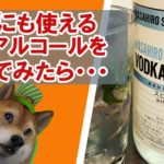 沖縄泡盛メーカー発ウォッカ66度アルコールを飲んでみた